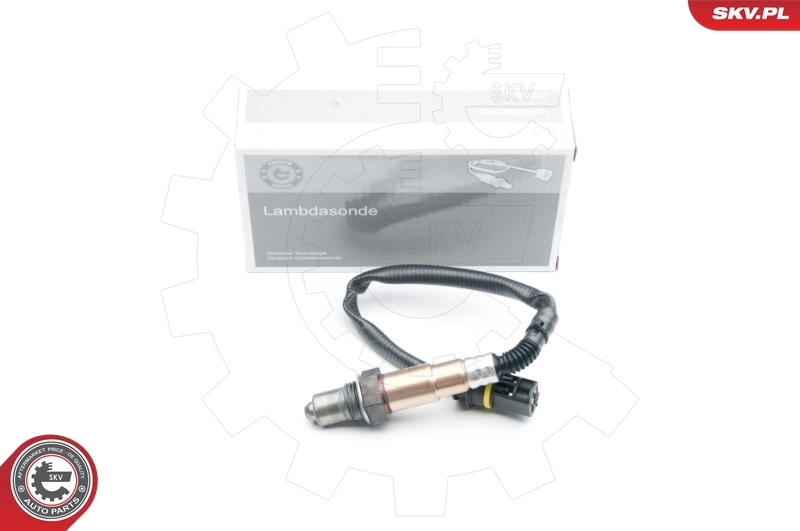 Oxygen Sensor